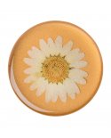 Cadeau tendance - PopSockets - Phone grip & stand - Pressed Flower ...