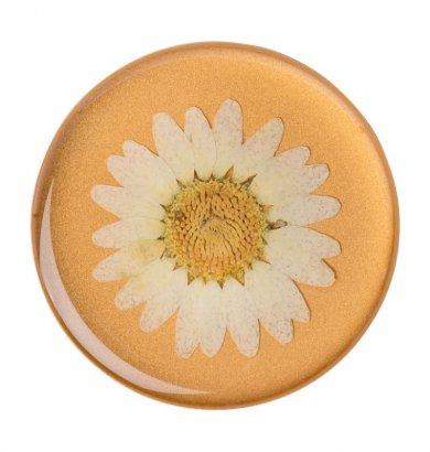 PopSockets - Phone grip & stand - Pressed Flower White PopSocket - 1
