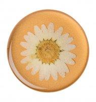 PopSockets - Phone grip & stand - Pressed Flower White PopSocket - 1