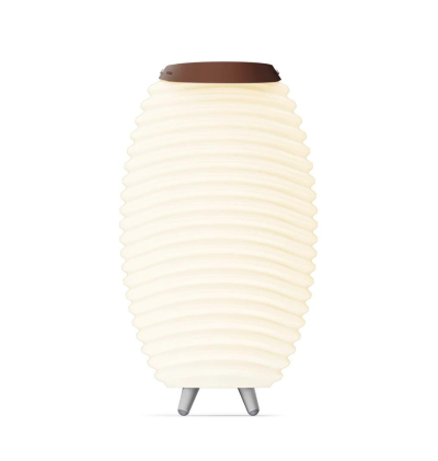 Kooduu - Synergy - Seau à Glace et Enceinte Lumineuse Kooduu - 3