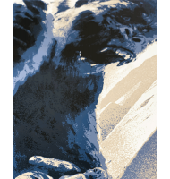 Affiche Encadrée - King Kong - Edition Limitée (sérigraphie)  - 3