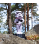 Figurine Solaire - Stormtrooper - Stars Wars - Cadeau Tech Tendance Figurine Solaire - Stormtrooper - Stars Wars - Cadeau Tech Tendance