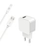 Chargeur maison 2.4A FastCharge + Câble USB A/Lightning Blanc - Big... Chargeur maison 2.4A FastCharge + Câble USB A/Lightning Blanc - Big...