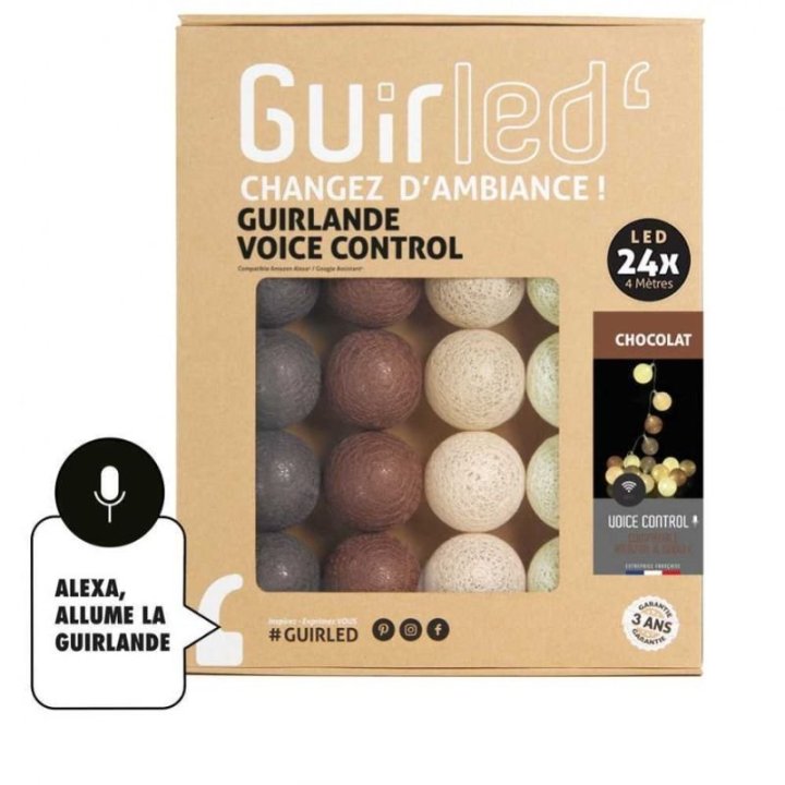 Guirlande Lumineuse Connectée avec Commande Vocale - Google et Alexa  - 1