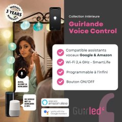 Guirlande Lumineuse Connectée avec Commande Vocale - Google et Alexa  - 12