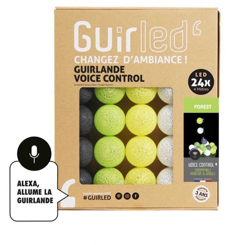 Guirlande Lumineuse Connectée avec Commande Vocale - Google et Alexa  - 10