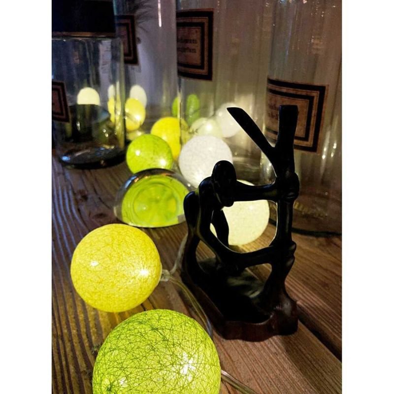 Guirlande Lumineuse Connectée avec Commande Vocale - Google et Alexa  - 11