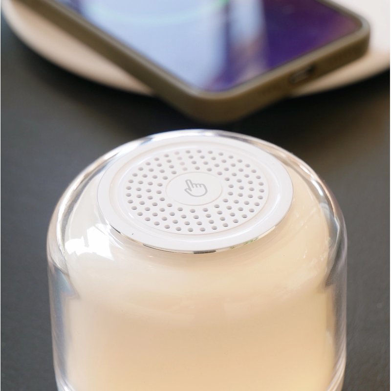 Chargeur Induction et Enceinte Amovible  - 2 Chargeur Induction et Enceinte Amovible  - 2