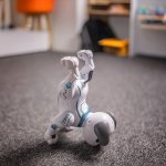 Chien robot télécommandé