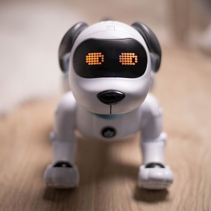 Chien robot télécommandé