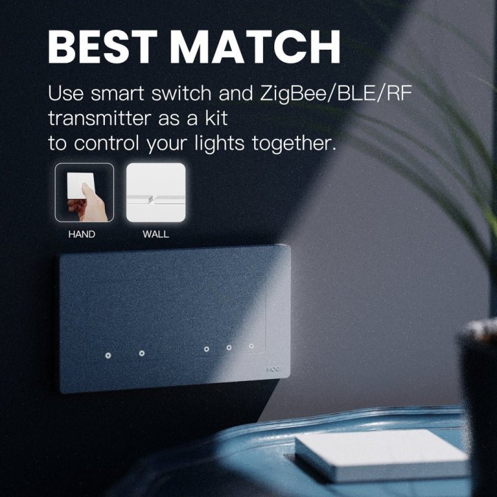 MOES - Interrupteur Double - ZigBee