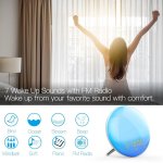 MOES - Réveil lumineux intelligent Wake Up Light