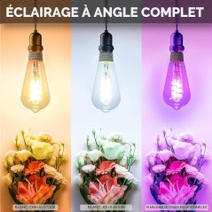 MOES - Ampoule connectée Zigbee E27 ST64 5W RGB + blanc chaud/froid