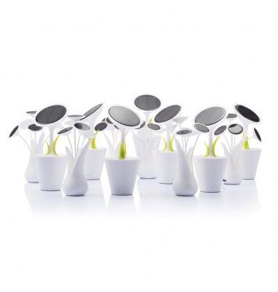 Cadeau tendance - Sunflower de XD Design, chargeur solaire - 2500mha