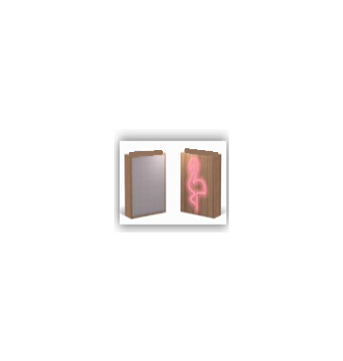 ColorLight - Enceinte Neon Bois - Flamingo - taille S - Enceinte sur batterie ColorLight Néon.La tendance qui illumine votre int