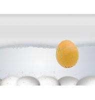 BeepEgg - Minuteur Cuisine Oeuf - Poulet - BeppEgg, pour une cuisson parfaite de vos oeufs en musique. 
